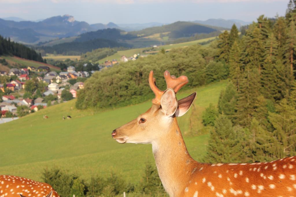 Lapszanska Ostoja Villa Łapsze Niżne Buitenkant foto